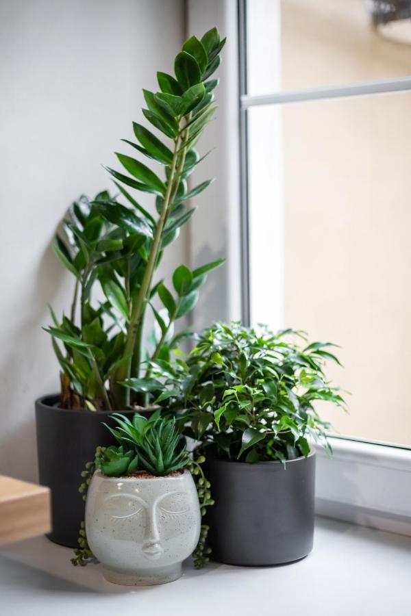 #Stayhere - Cozy 1Bdr Apartment Vilnius Old Town Buitenkant foto